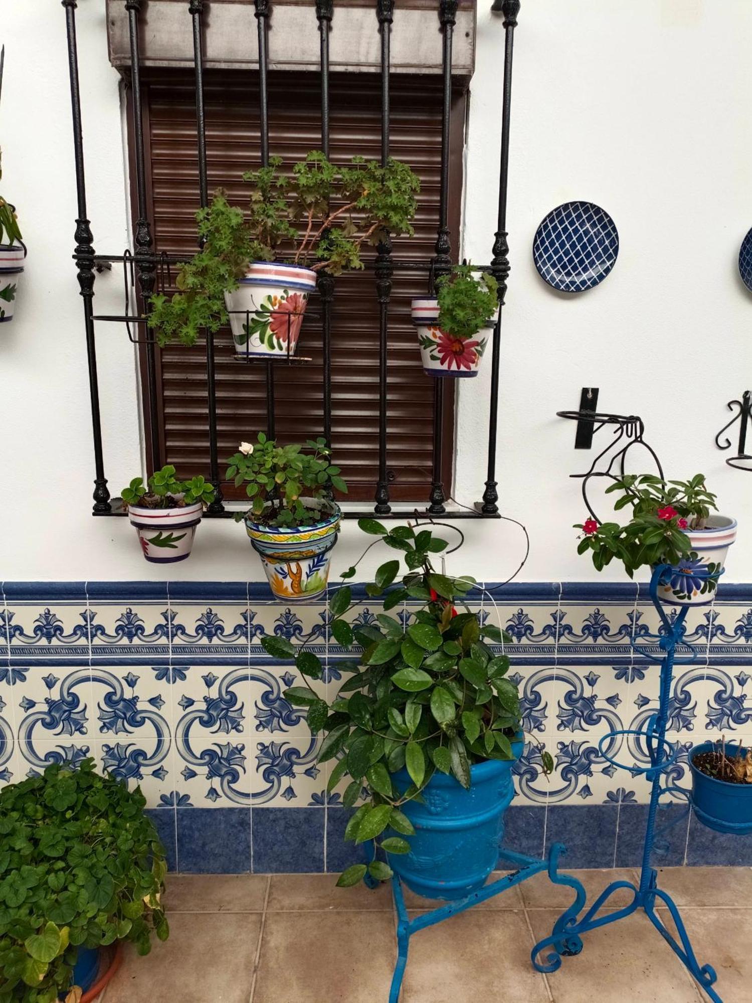 Casa Rural Patio Rociero Эль-Росио Экстерьер фото